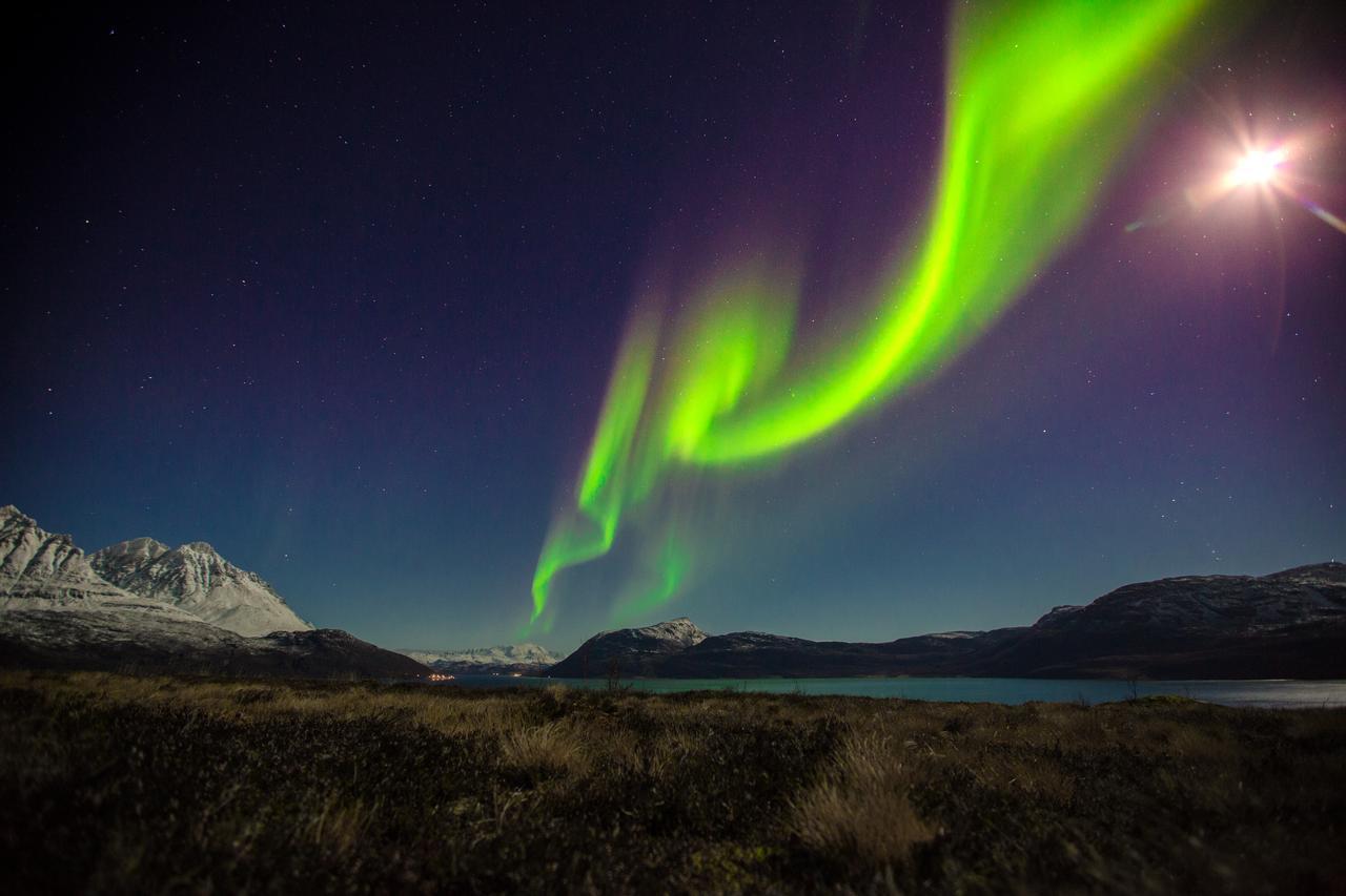 Arctic Panorama Lodge Uløybukta Eksteriør billede