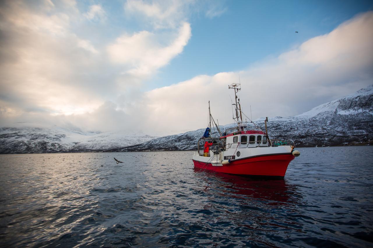 Arctic Panorama Lodge Uløybukta Eksteriør billede