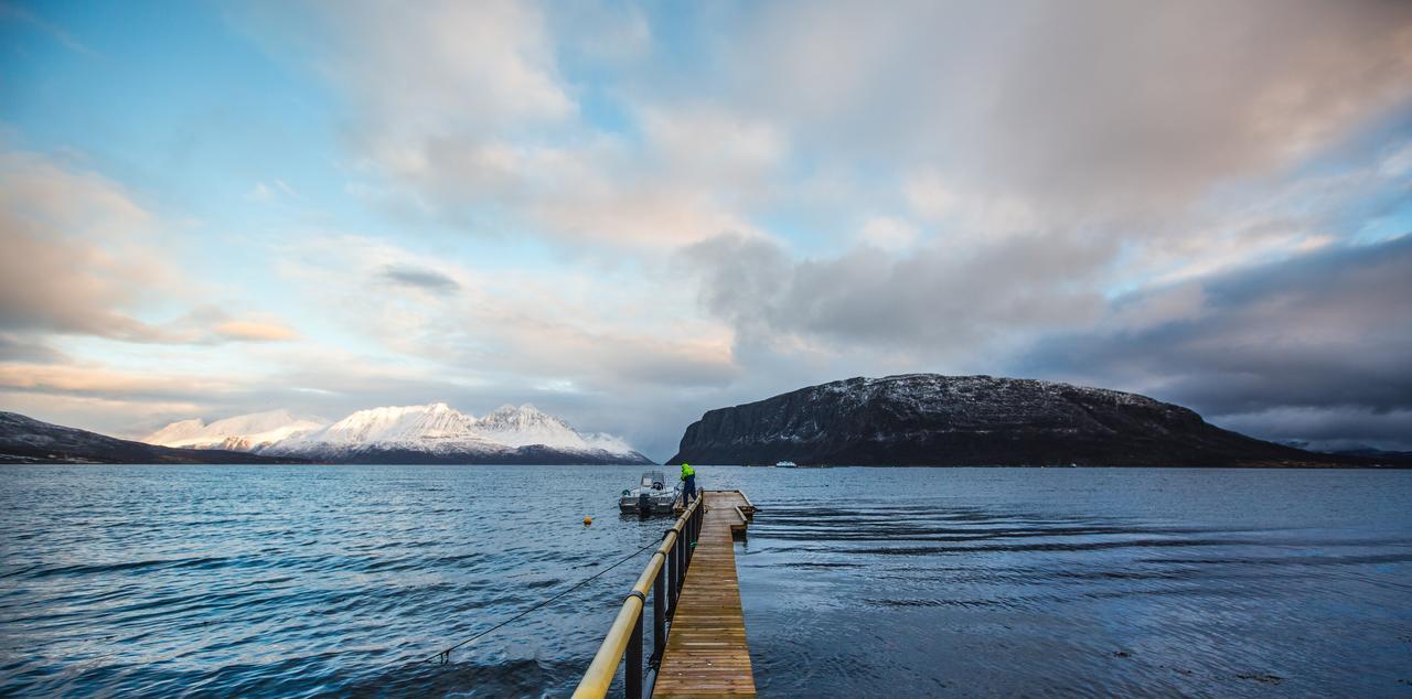 Arctic Panorama Lodge Uløybukta Eksteriør billede