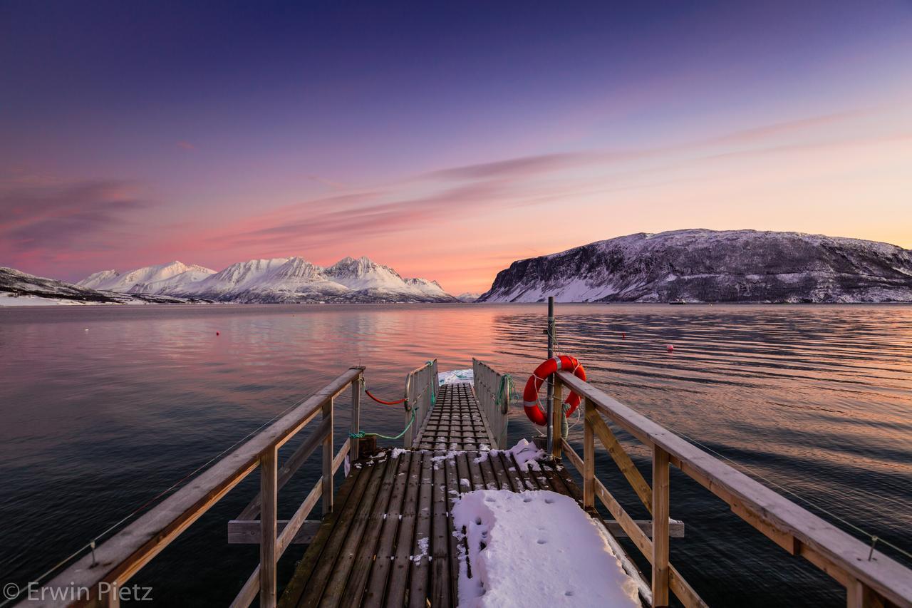 Arctic Panorama Lodge Uløybukta Eksteriør billede